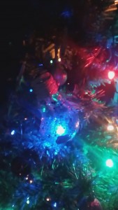 VID_20190105_023221_Moment